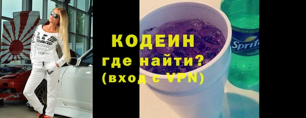 твердый Бородино
