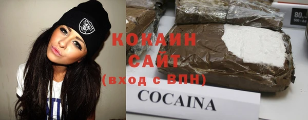 твердый Бородино