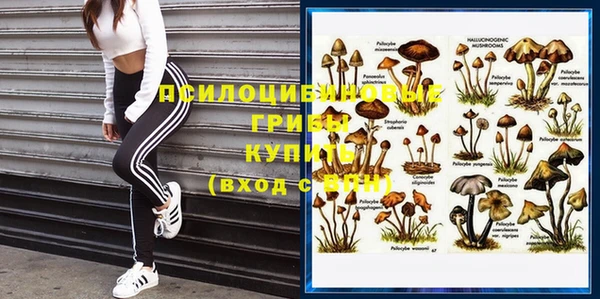 прущая мука Бронницы