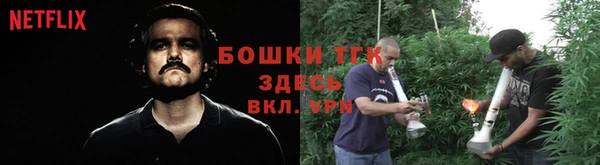 твердый Бородино