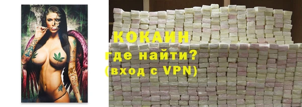 твердый Бородино