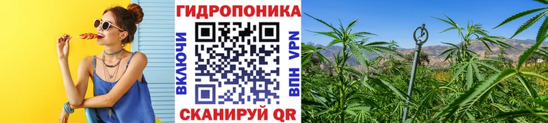 ОМГ ОМГ онион  закладки  Тольятти  Шишки марихуана семена 